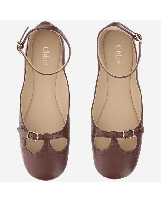 Chloé Brown Chloé Ankle Strap Ballet Flats