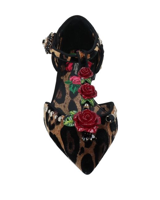 Dolce & Gabbana Brown Floral Ballet Shoes