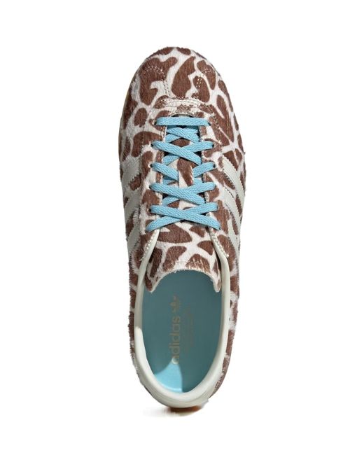 Adidas Brown Originals Gazelle Lo Pro Shoes for men