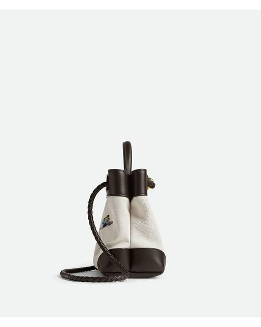 Bottega Veneta Metallic Small Andiamo