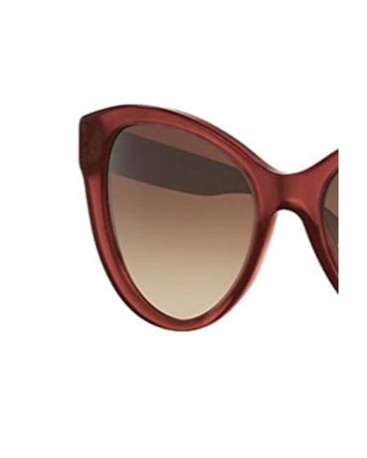 Burberry Brown Logo Sunglasses