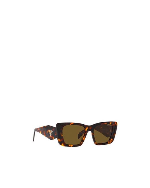 Prada Multicolor Eyewear Cat-Eye Sunglasses