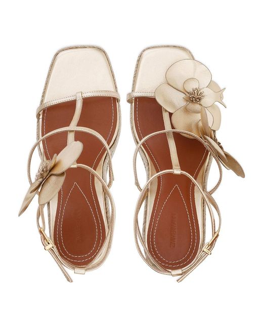 Zimmermann Natural Orchid Wedge