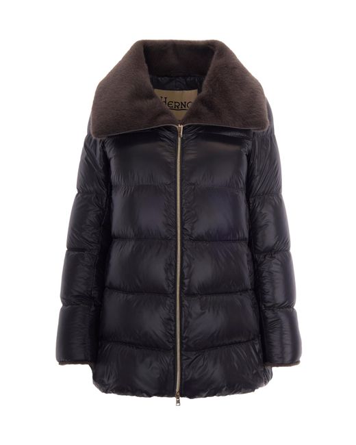 Herno Black Collared Padded Jacket