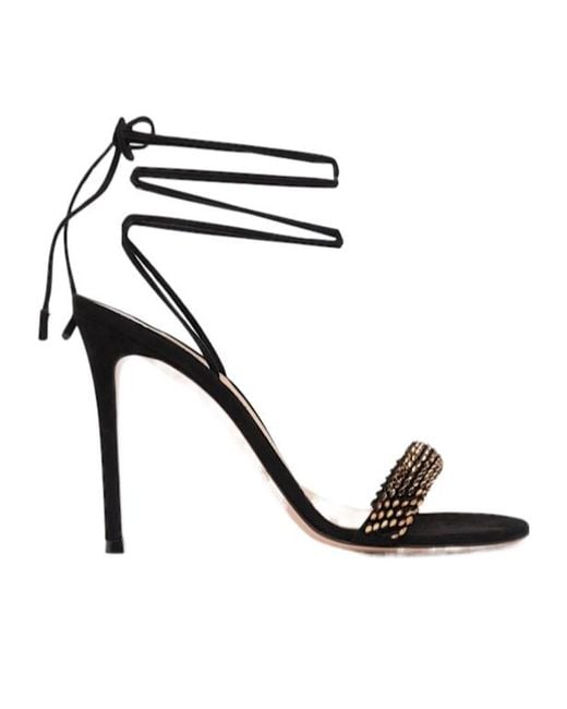 Gianvito Rossi Black Suede Sandals