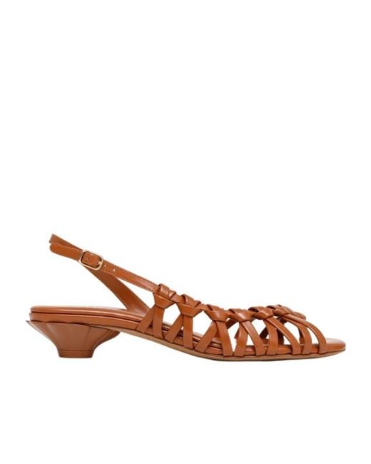 Chloé Brown Chloé Estra Strap Detailed Sandals