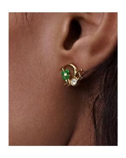 Dior Brown Precious Clover Earrings