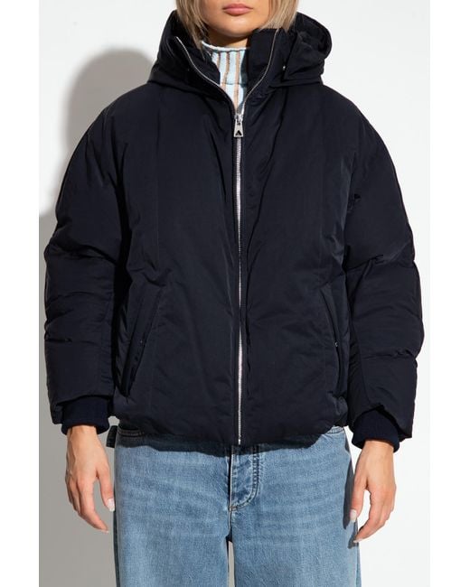 Bottega Veneta Blue Long-Sleeved Down Jacket