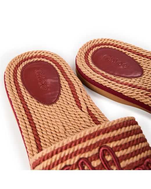 Chloé Multicolor Simple Flat Slippers