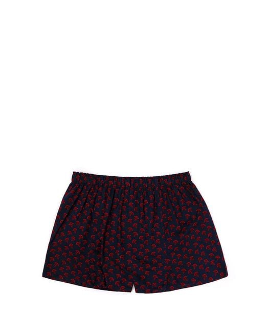 Tommy Hilfiger Blue Checkered Shorts for men