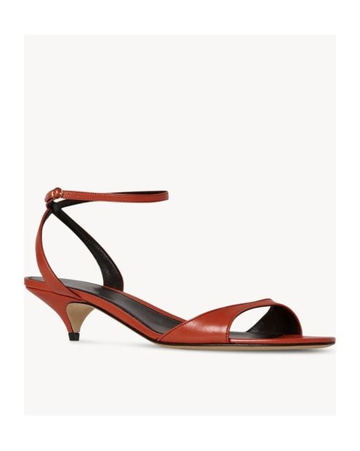 The Row Multicolor Kitten-Heel Leather Sandals