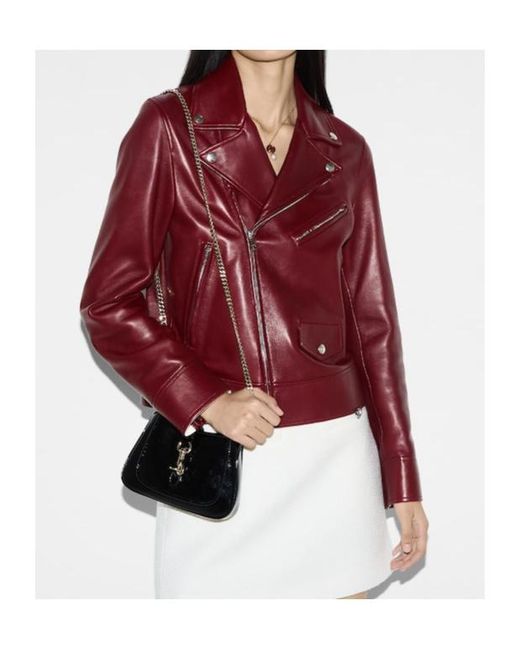 Gucci Collared Zip-Up Jacket