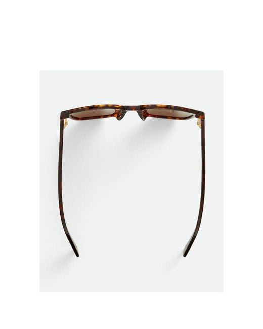 Bottega Veneta Brown Soft Recycled Acetate Square Sunglasses