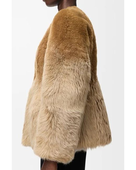 Loewe Brown Jacket