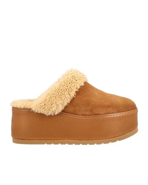 Céline Brown Dana Wedge Mule
