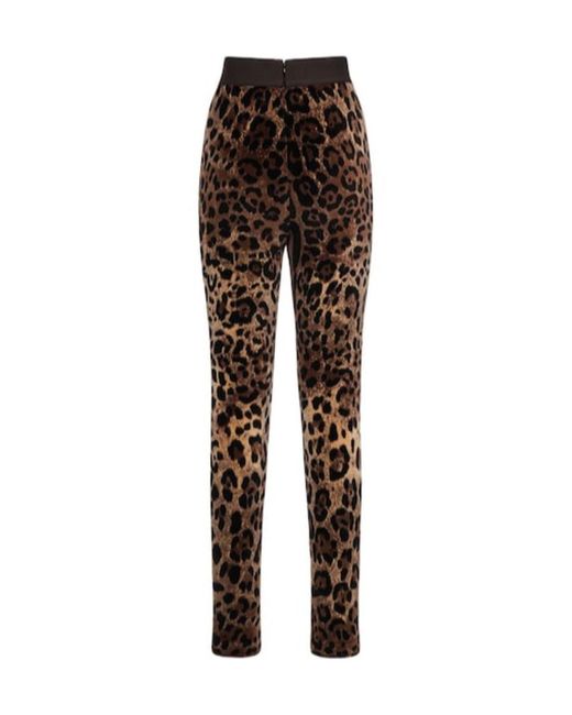 Dolce & Gabbana Brown Logo Leopard Print Leggings