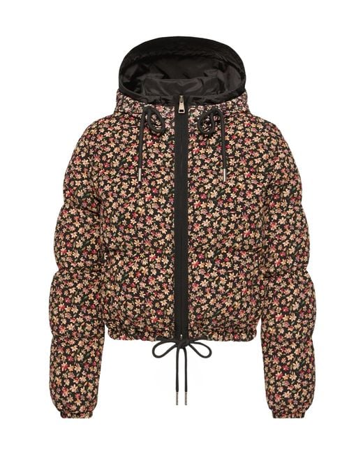 Moncler Brown Becfigue Hooded Down Jacket