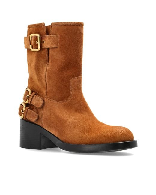 Chloé Brown Chloé Dakota Buckled Ankle Boots
