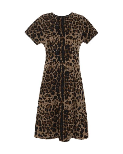 Dolce & Gabbana Multicolor Leopard Printed Mini Dress