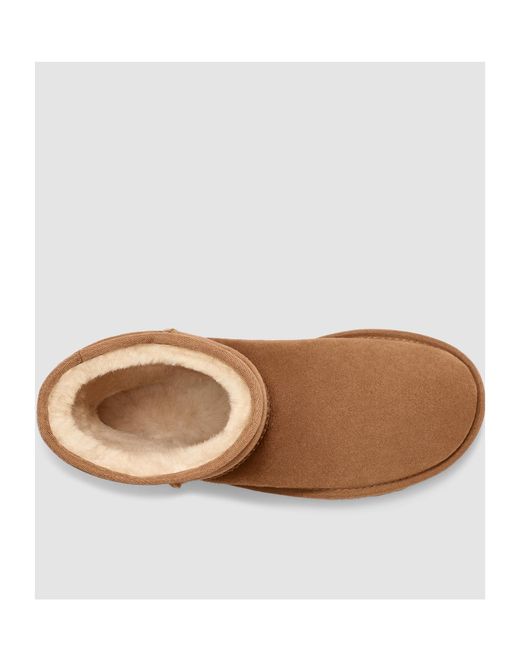 Ugg Brown Logo Snow Boots for men