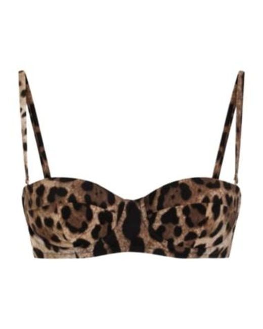 Dolce & Gabbana Brown Leopard Printed Bra