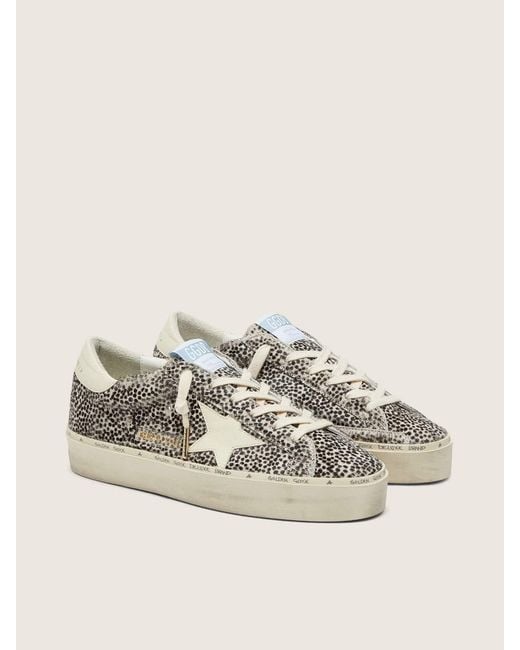 Golden Goose Deluxe Brand Gray Hi Star Low-Top Sneakers