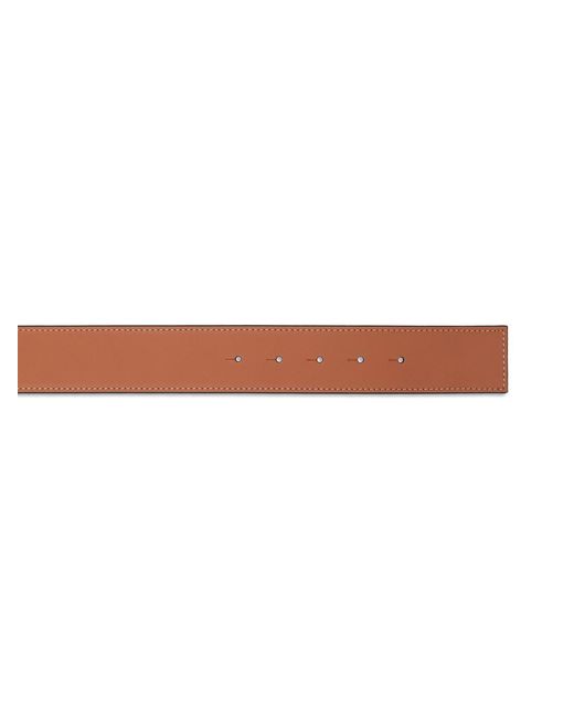 Loewe Brown Logo Buckled Reversible Belt for men