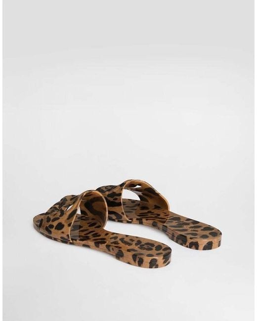 Dolce & Gabbana Brown Leopard Printed Slides