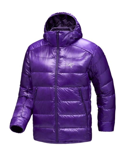 Arc'teryx Purple Cerium Sv Down Jacket for men
