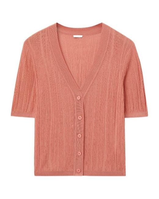 Joseph Pink V-Neck Buttoned Cardigan for men