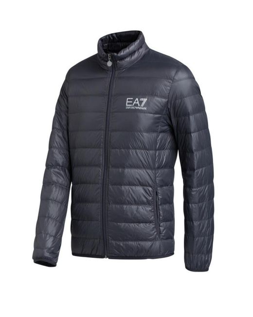 EA7 Blue Padded Zipped Jacket for men
