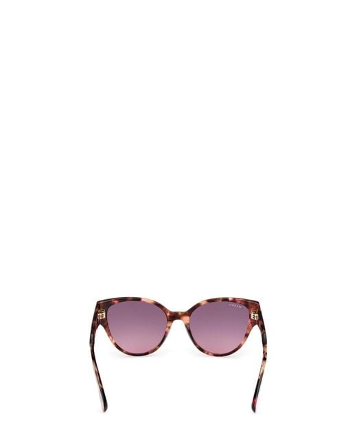 MAX&Co. Purple Full Frame Sunglasses
