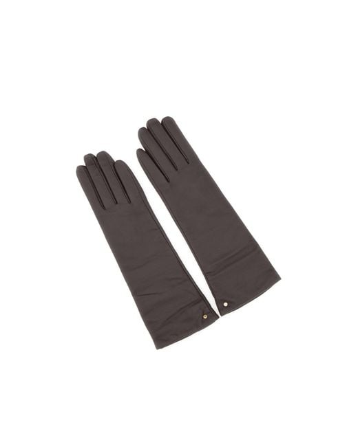 Gianni Chiarini Brown Long Leather Gloves