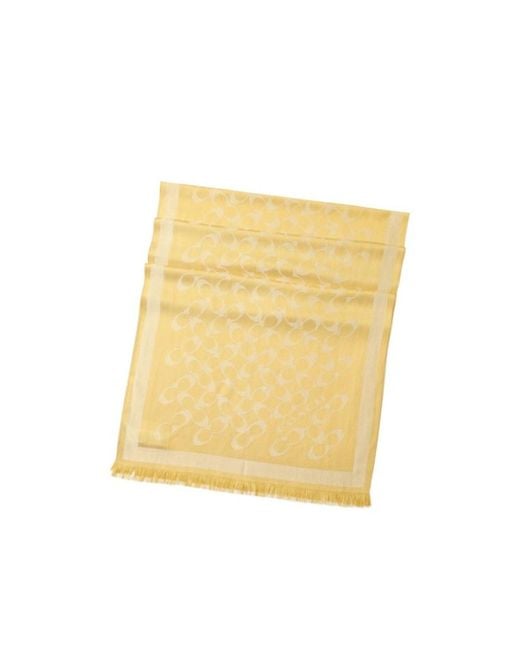 COACH Yellow Tassel Scarf