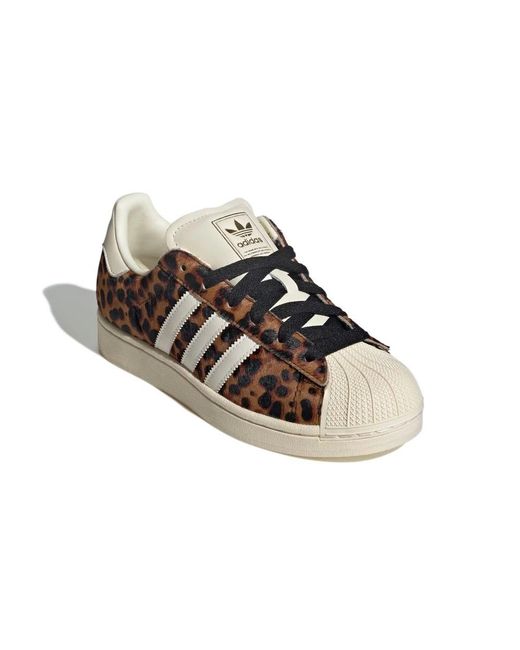 Adidas Originals Brown Superstar Ii Shoes