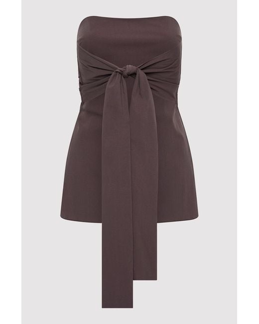 St. Agni Brown Sleeveless Strapless Top
