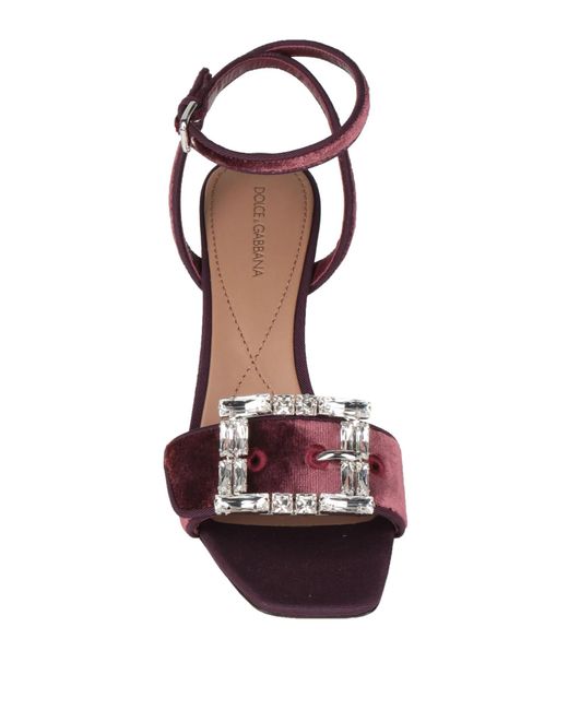 Dolce & Gabbana Pink Solid Color Sandals