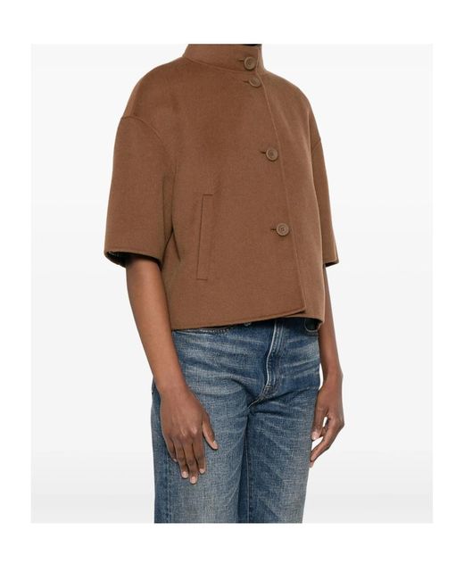 Max Mara Brown Stand Collar Casual Jacket