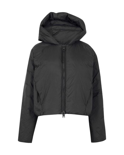 Canada Goose Black Casual Versatile Jacket