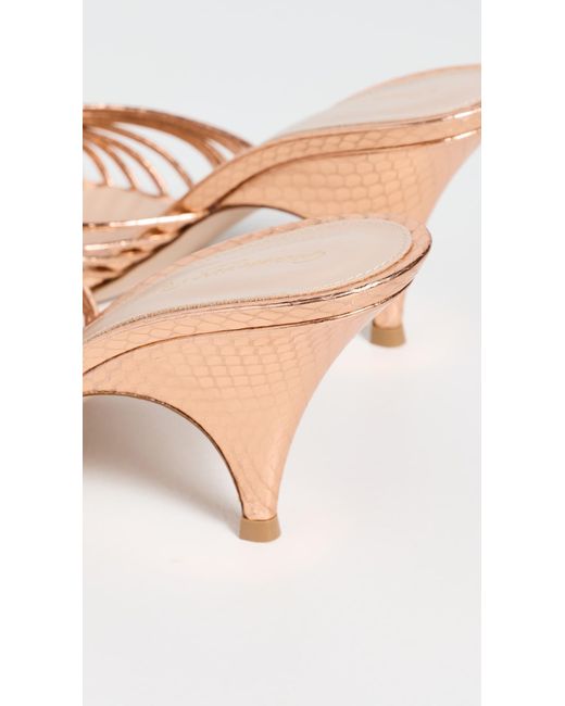 Gianvito Rossi Natural Malè Strappy Mules
