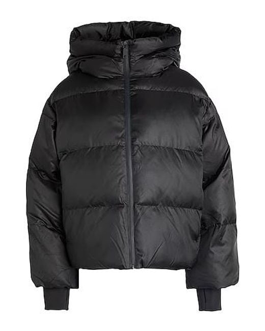 MAX&Co. Black Hooded Down Jacket