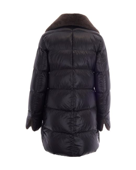 Herno Black Collared Padded Jacket