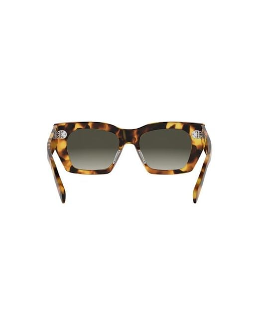 Céline Multicolor 3 Dots Havana Square Sunglasses