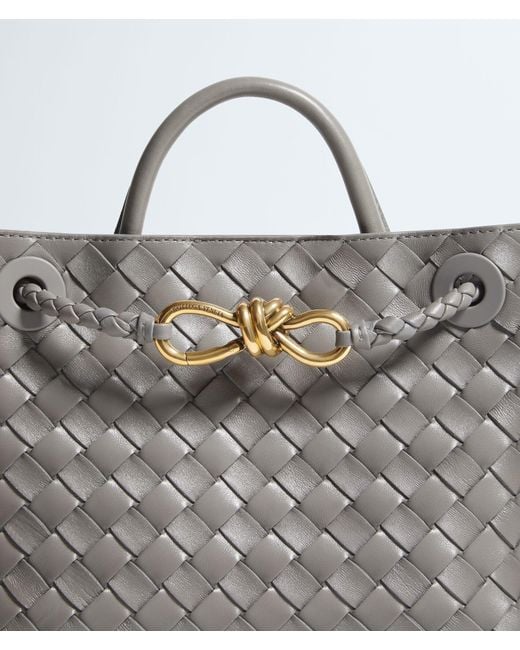 Bottega Veneta Gray Small Andiamo