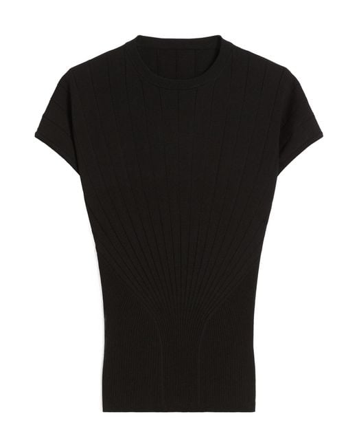 Sportmax Black Spxsamba Fitted Waist Knitted Top