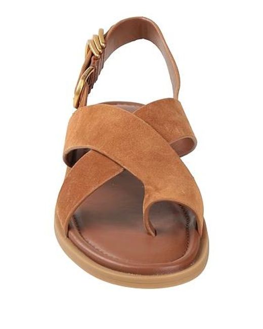 Rag & Bone Brown Toe Strap Flat Sandals
