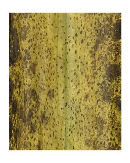 Rick Owens Metallic Chiffon Long-Sleeved Dress