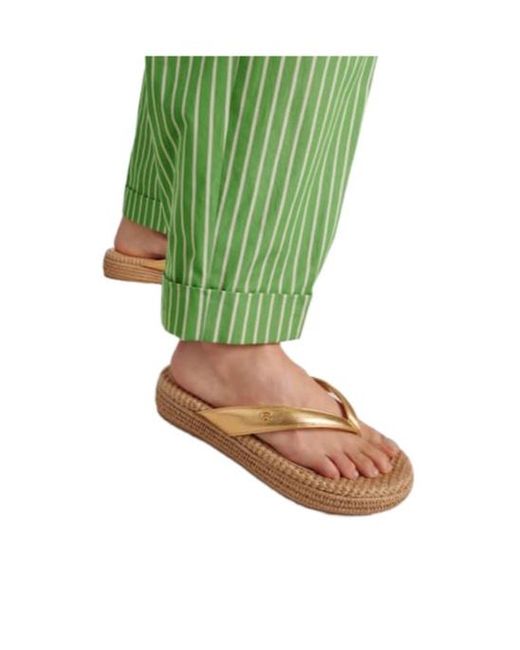 Gianvito Rossi Pink Versatile Casual Flip Flops