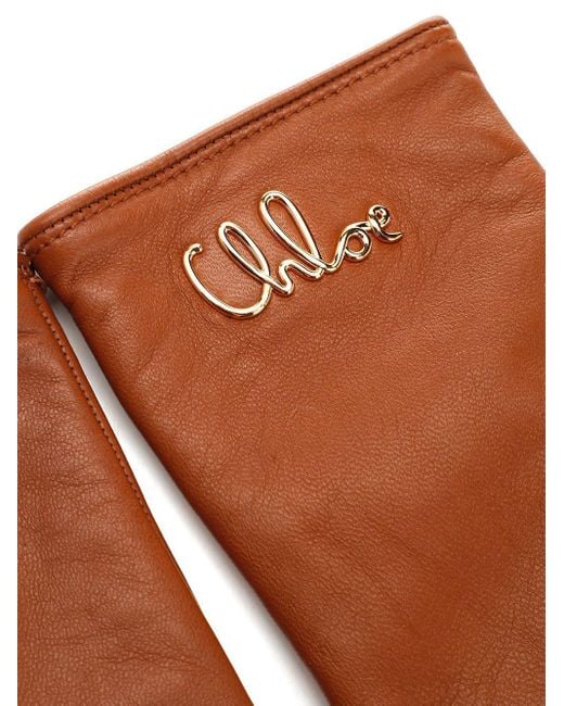 Chloé Brown Chloé Iconic Gloves