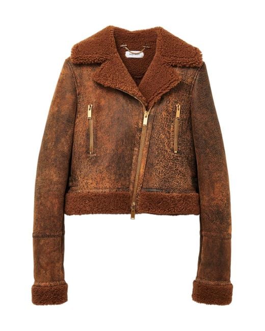 McQueen Brown Off-Center Zip Aviator Jacket